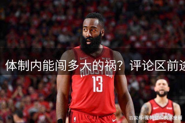 体制内能闯多大的祸？评论区前途一片黑暗