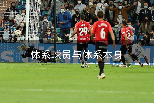 体系球员与体系本身